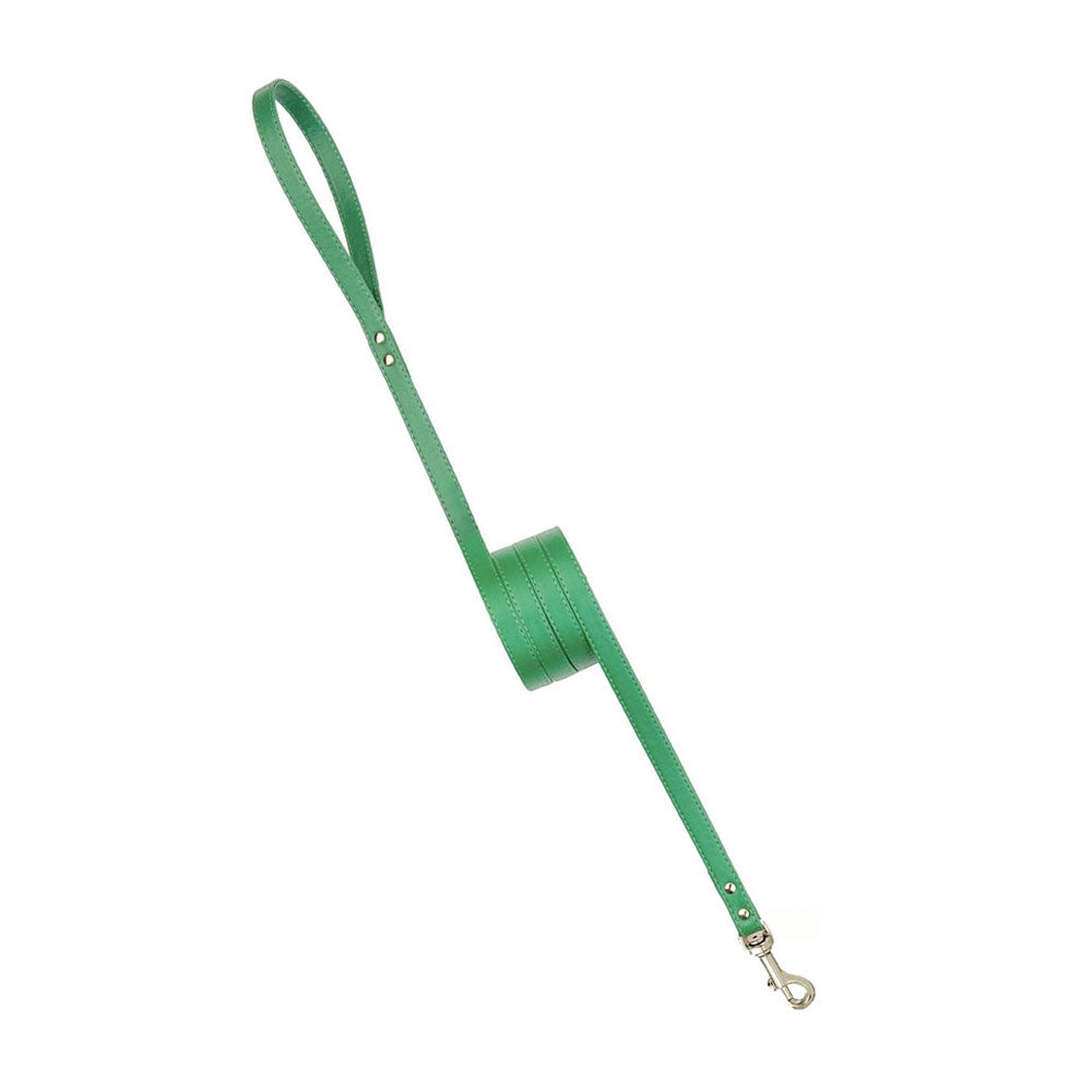 Classic Green Leash