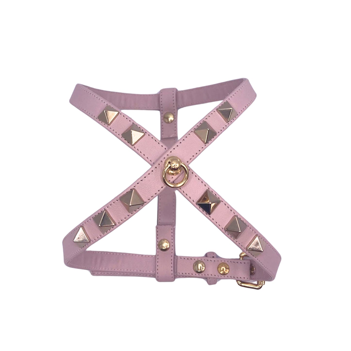 Valentino harness